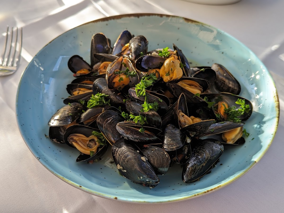 Restaurant Zur Alten Muhle-8